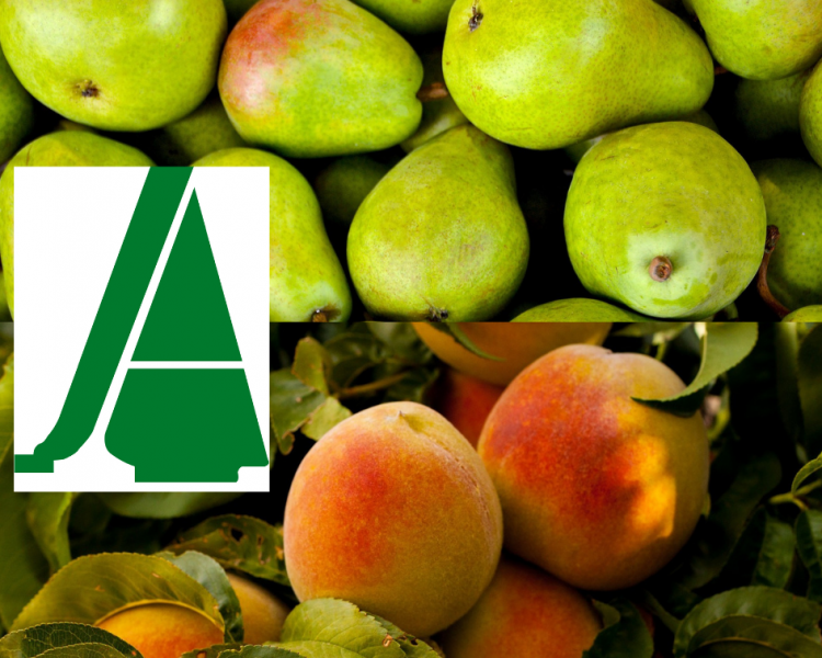 1502-es-noticiaslos-responsables-de-asaja-en-lleida-aragon-y-la-rioja-se-reunen-para-valorar-la-campana-de-la-fruta