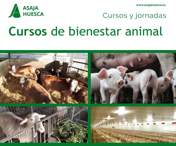 1525-es-nuevos-cursos-de-bienestar-animal-en-huesca-y-barbastro