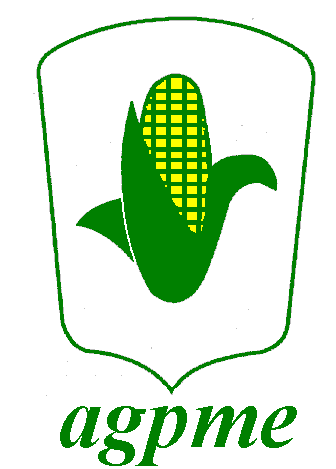 1613-es-m
