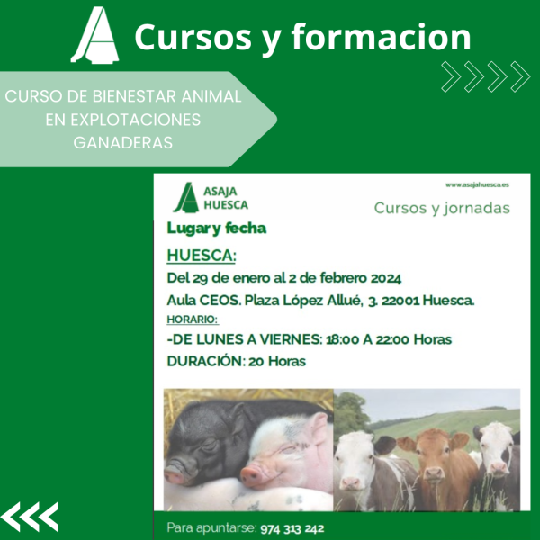 1728-es-noticiascurso-de-bienestar-animal-en-explotaciones-ganaredas