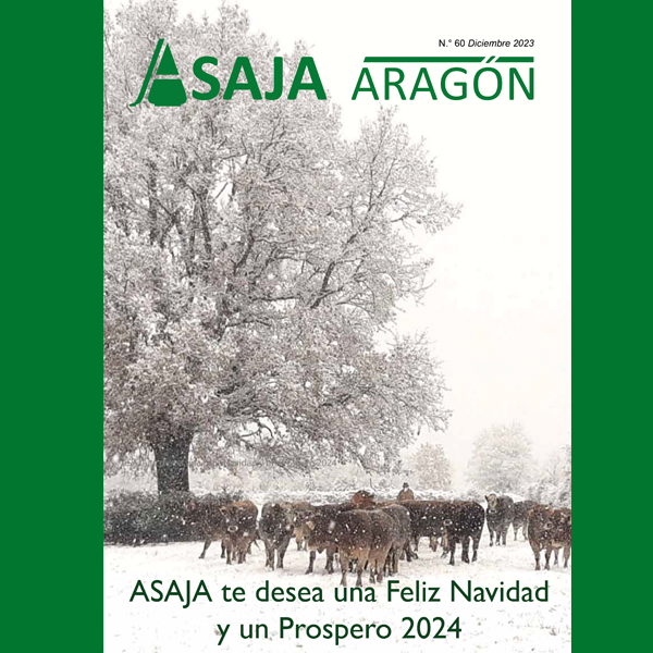 1732-es-noticiasoctubre-2023-id1732clon-1731