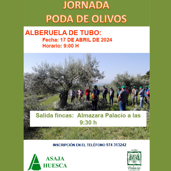 1746-es-noticiasjornada-de-poda-y-tratamientos-fitosanitarios-del-olivo-en-alberuela-de-tubo