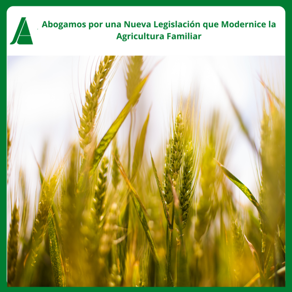 1747-es-noticiasabogamos-por-una-nueva-legislacion-que-modernice-la-agricultura-familiar