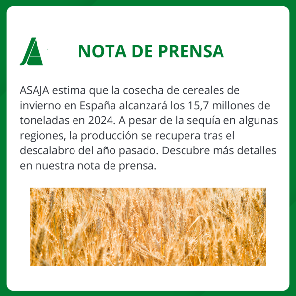 1763-es-noticiastenemos-oportunidad-de-votar-id1763clon-1760