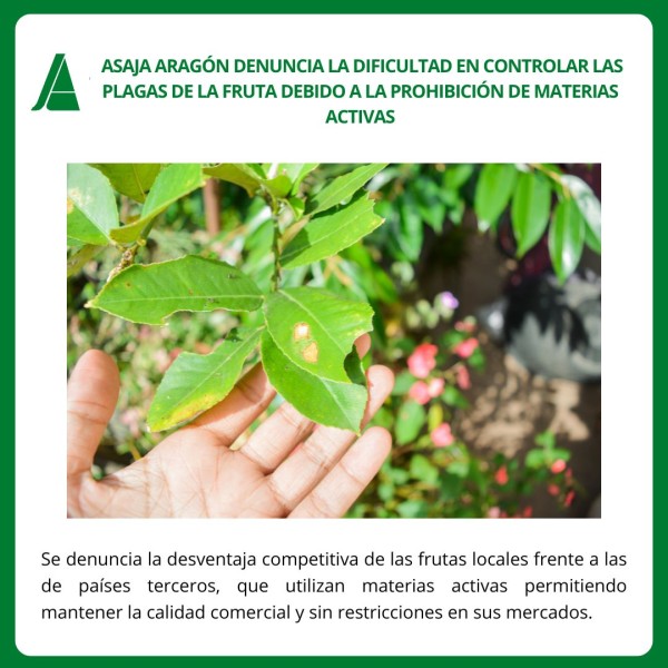 1778-es-noticiasayuda-del-programa-kit-digital-para-el-segmento-iii-hasta-2025-id1778clon-1777