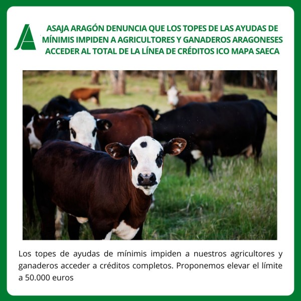 1779-es-noticiasasaja-aragon-denuncia-la-dificultad-de-controlar-plagas-de-fruta-por-prohibicion-de-materias-activas-id1779clon-1778