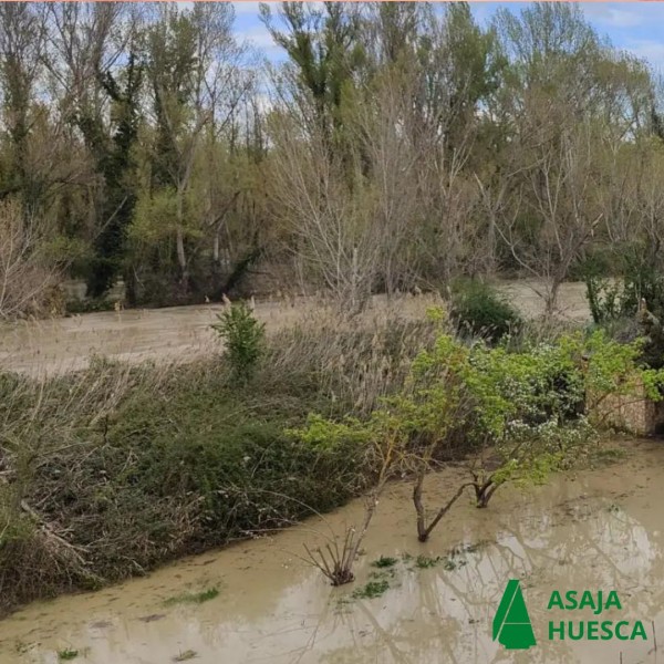 1786-es-noticiasse-reclama-la-limpieza-de-los-rios-para-evitar-danos-en-las-explotaciones-agricolas